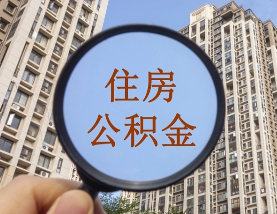 禹城退休后查不到公积金明细了吗（退休后公积金查询不到原因）